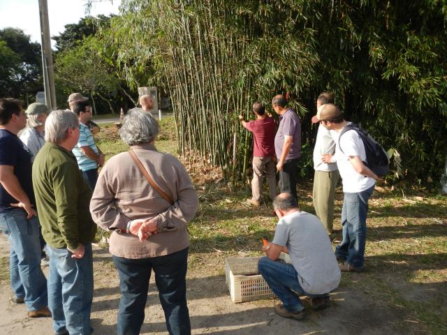 20130831 Fazenda Curso Cultivo e Manejo de Bambu BambuSC 005.jpg