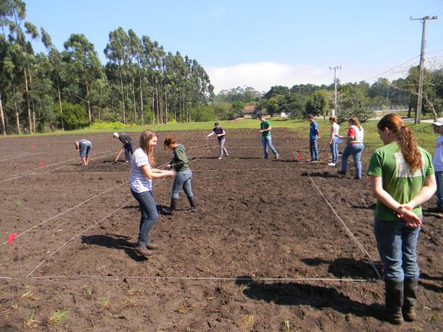 20130910 Fazenda Aula de Bioestatística Experimentação agrícola 004.jpg