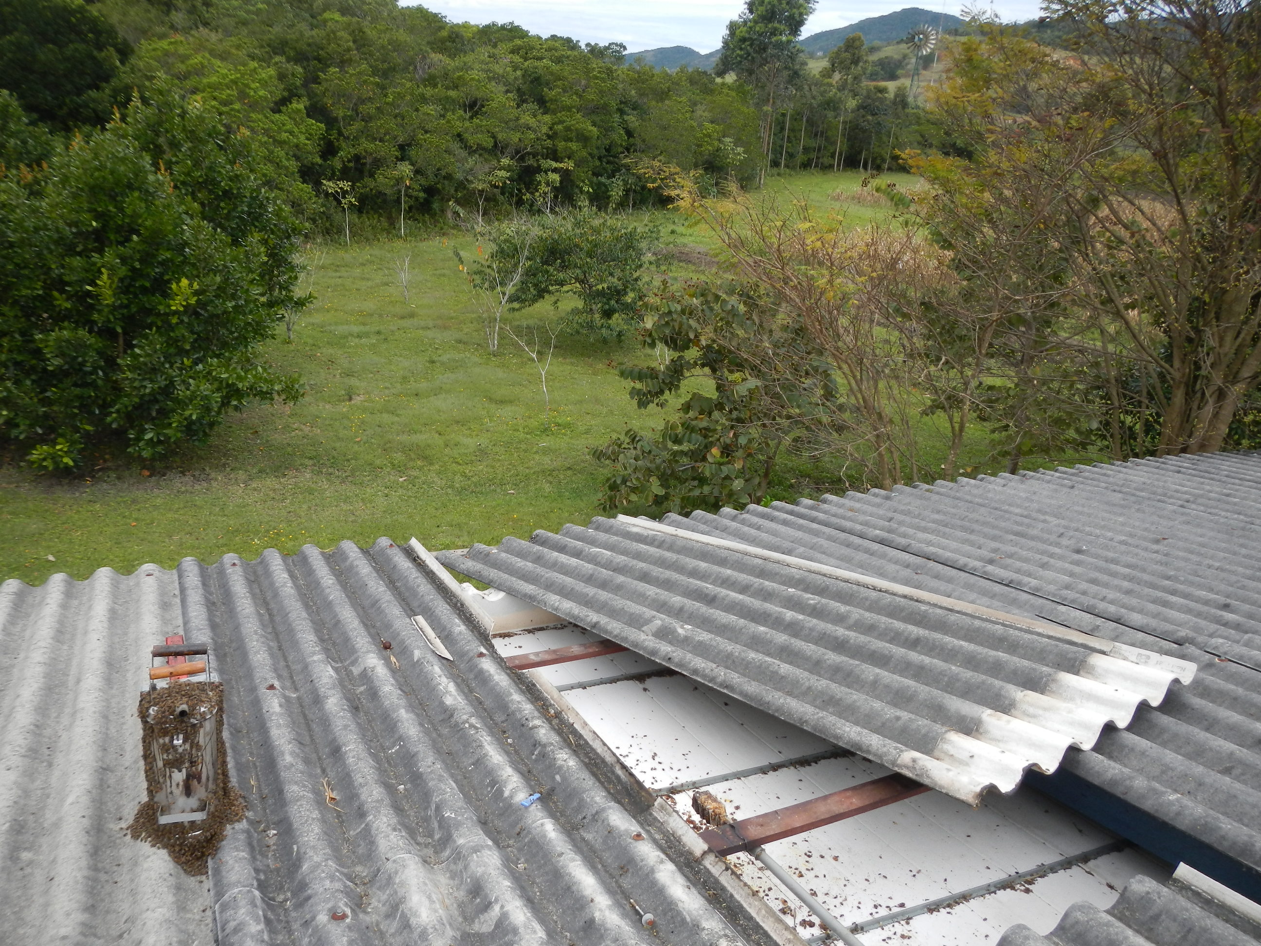 20130918 Fazenda Apicultura Remoção colméia telhado escritório 004.jpg