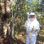 20131002 Fazenda Retirada abelhas apicultura área ovinos (2).jpg