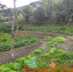 20120519 Permacultura Anitapolis Sitio Silva Aula 024.jpg
