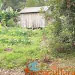 20120519 Permacultura Anitapolis Sitio Silva Aula 027.jpg