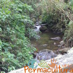 20120519 Permacultura Anitapolis Sitio Silva Aula 035.jpg