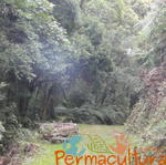 20120519 Permacultura Anitapolis Sitio Silva Aula 036.jpg