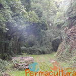 20120519 Permacultura Anitapolis Sitio Silva Aula 037.jpg