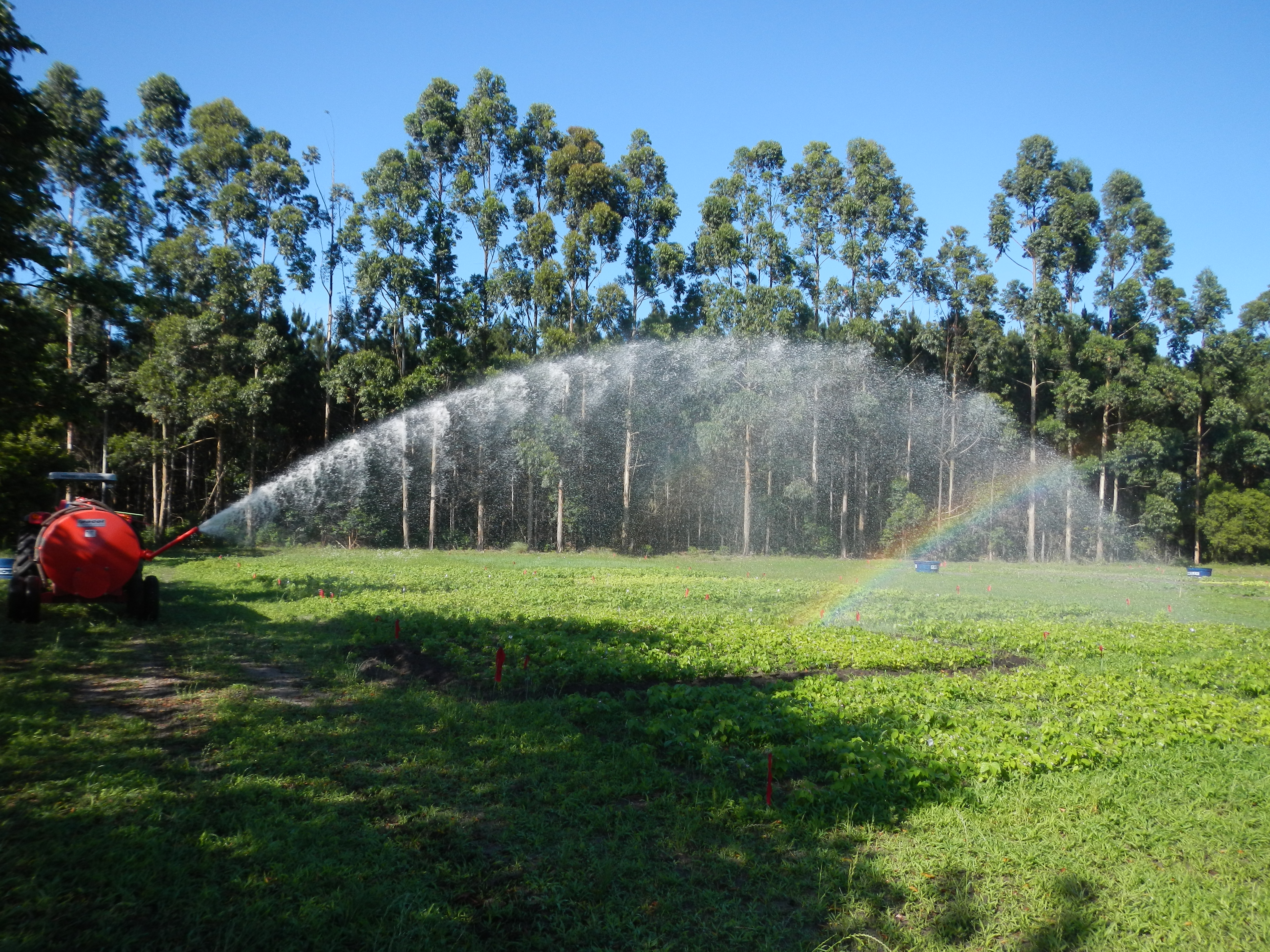 20131029 Fazenda Irrigação canhão tanque áreas bioestatística 002.jpg