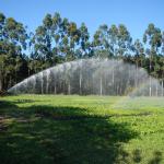 20131029 Fazenda Irrigação canhão tanque áreas bioestatística 002.jpg