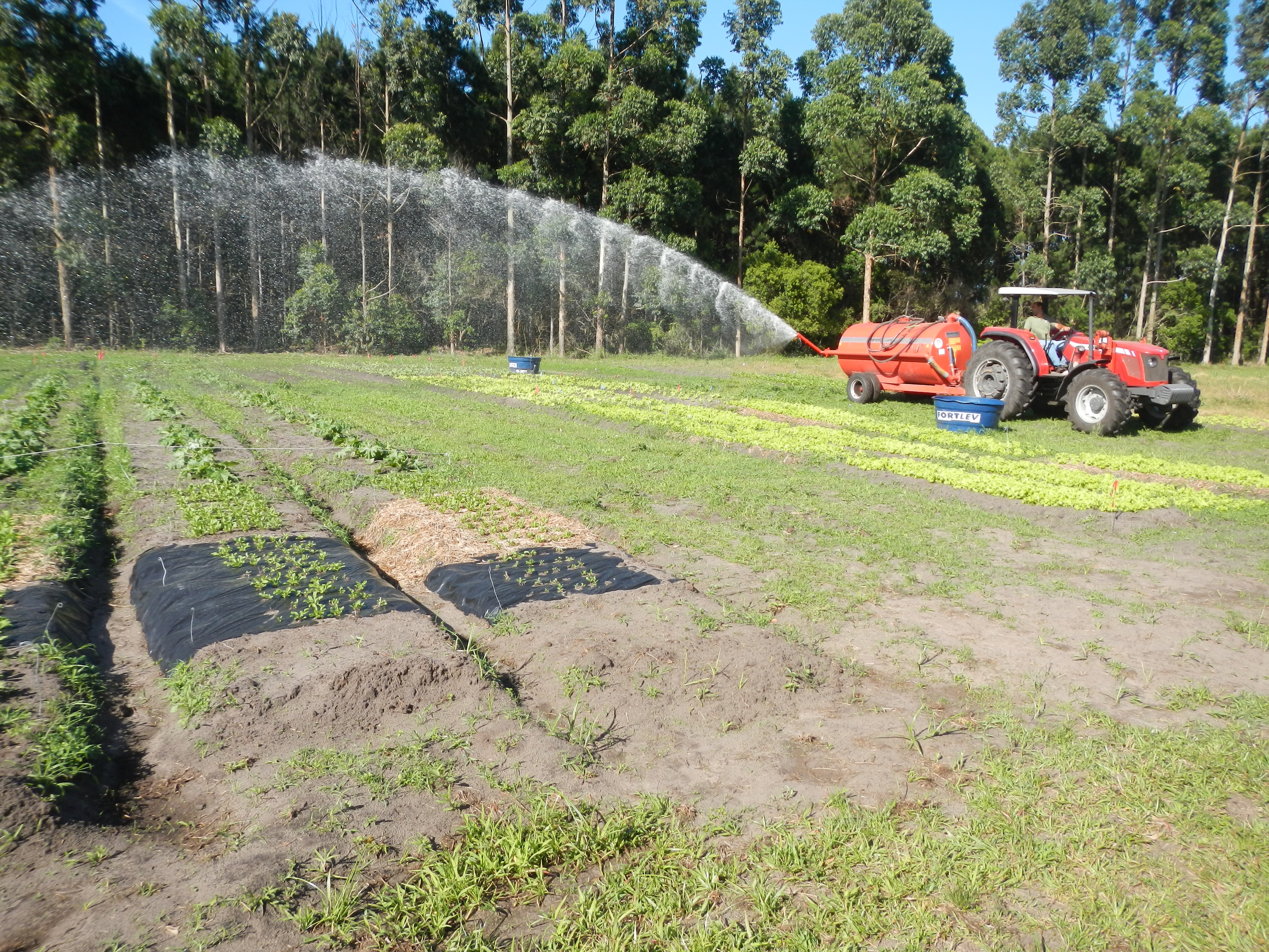 20131029 Fazenda Irrigação canhão tanque áreas bioestatística 004.jpg