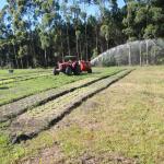20131029 Fazenda Irrigação canhão tanque áreas bioestatística 005.jpg