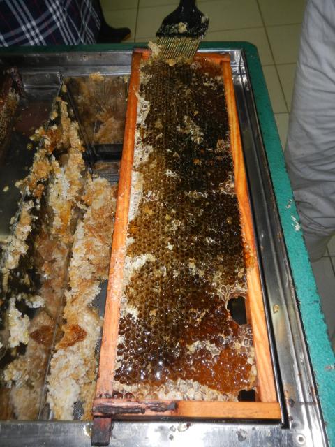 20131213 Fazenda Apicultura Coleta e extração de mel 003.jpg