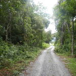 20140404 Fazenda Paisagem Mata Floresta central estrada 001.jpg