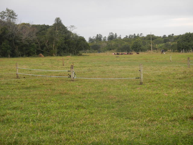 20140625 Fazenda Ovinocultura Ovelhas 001.jpg