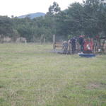 20140625 Fazenda Ovinocultura Ovelhas 003.jpg
