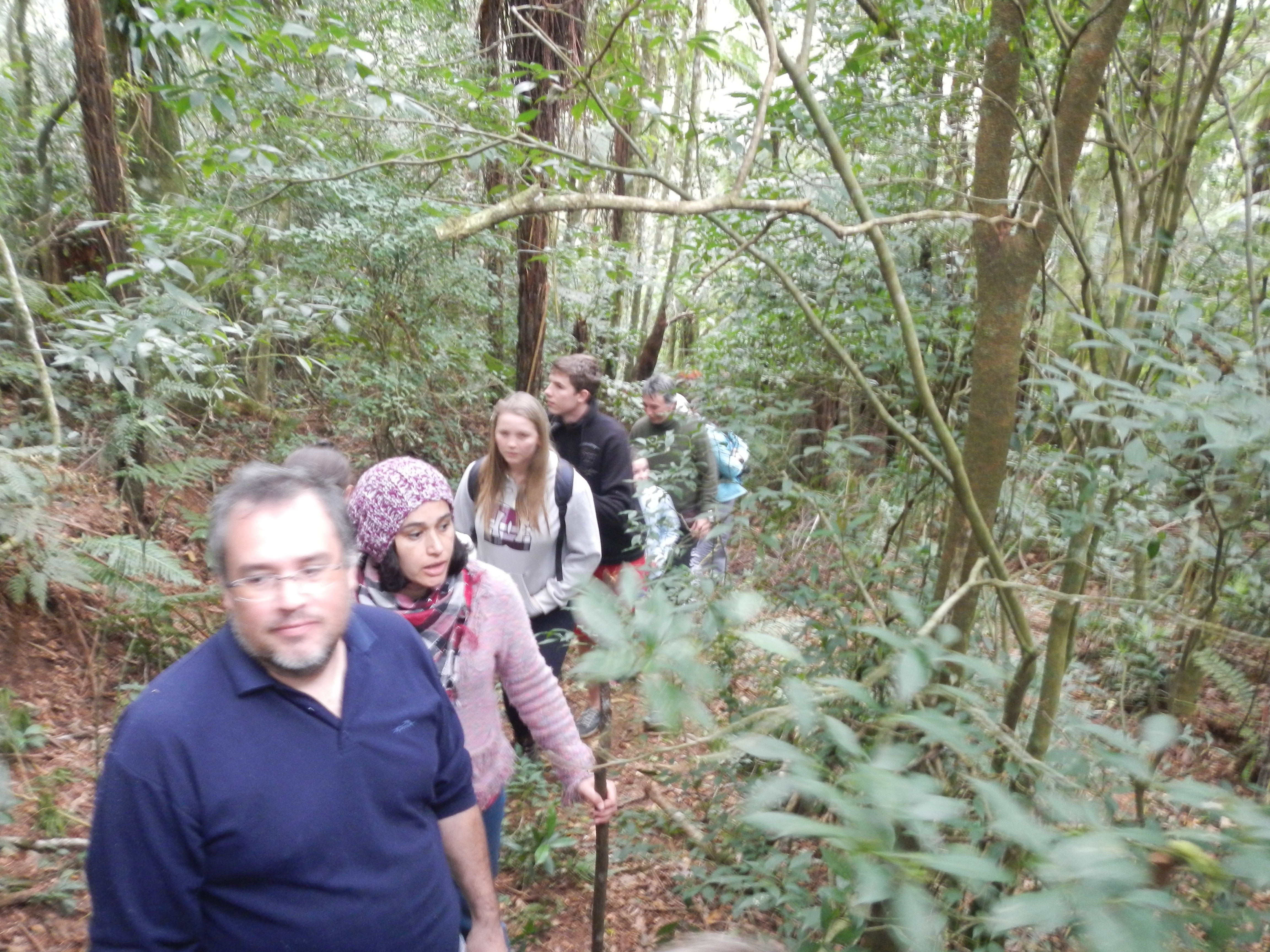 20140717 Anitápolis Permacultura CNPq sitio Jorge Silva 047.jpg