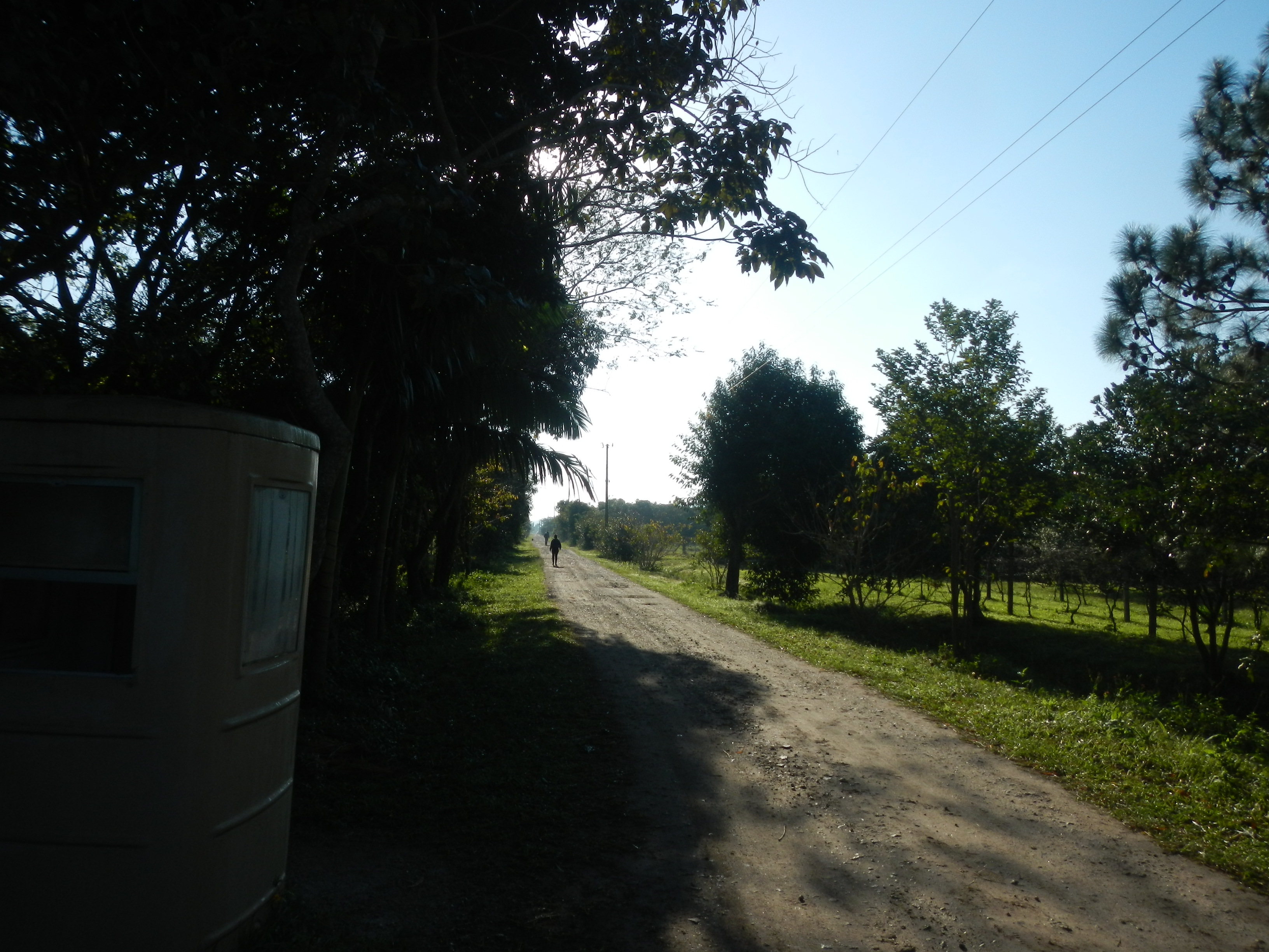 20140811 Fazenda Estradas principais e Árvores paisagens 003.jpg