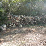 20140815 Fazenda Área limpa para depósito de troncos lenhas 002.jpg