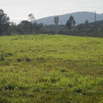 20140815 Fazenda Ovinocultura área nova e cercas.jpg