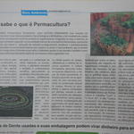 201408 Jornal Lá do Sul Reportagem Permacultura.jpg
