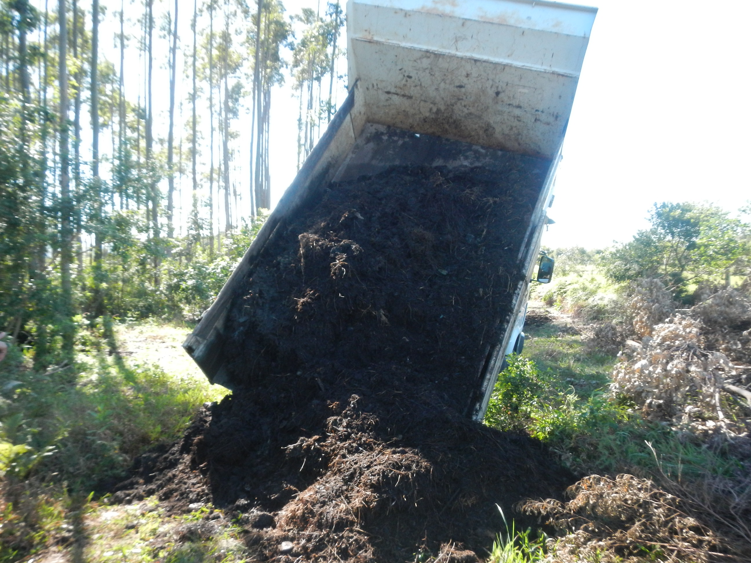 20140827 Fazenda Descarregamento compostagem agroecologia ADAE 002.jpg