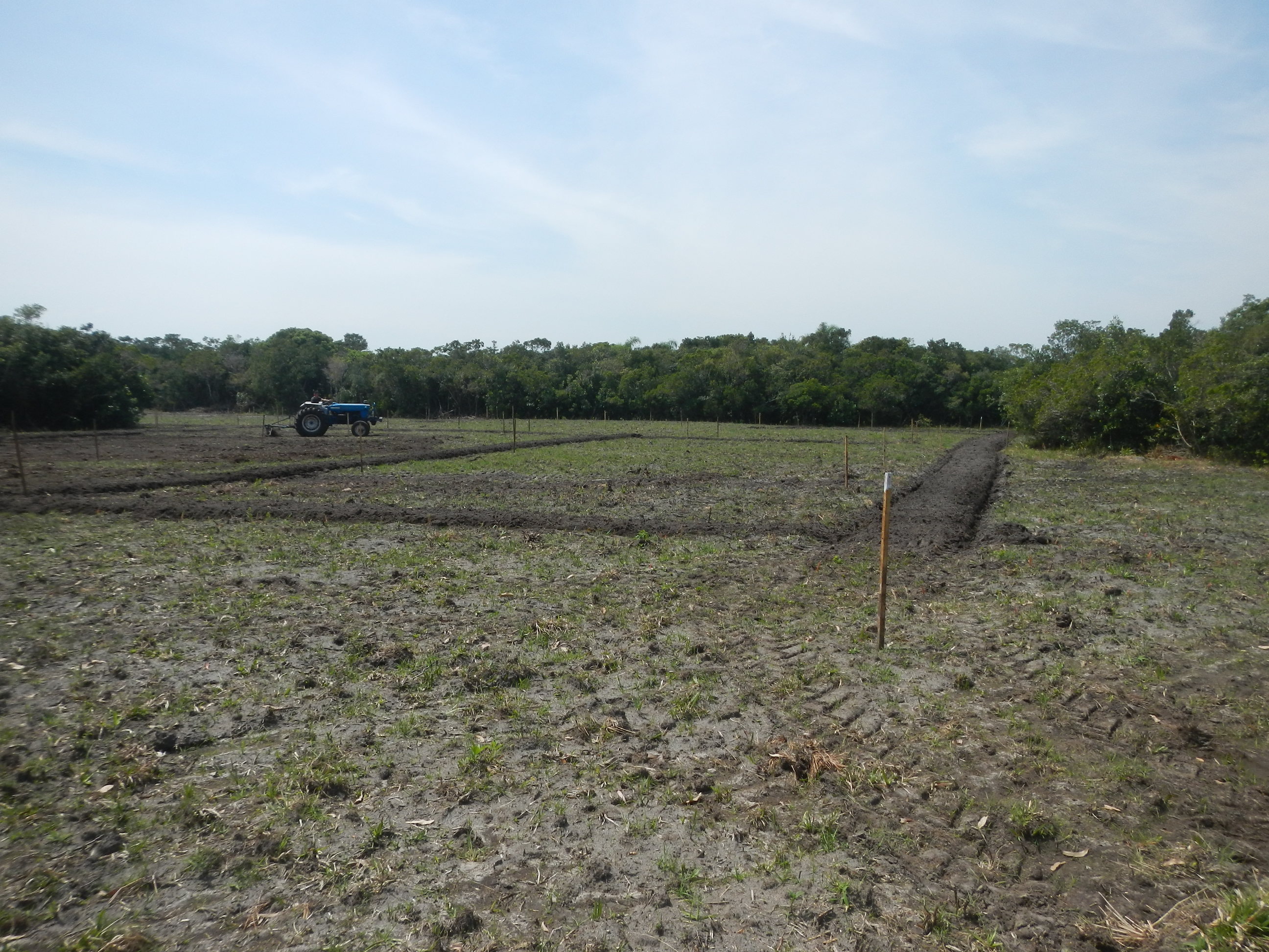 20141010 Fazenda Lavouras preparo área para arroz irrigado 001.jpg