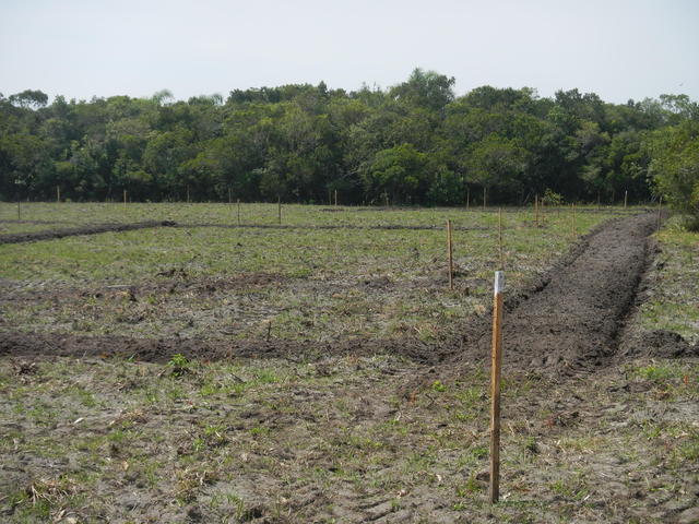 20141010 Fazenda Lavouras preparo área para arroz irrigado 002.jpg