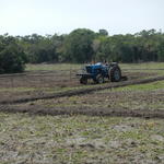 20141010 Fazenda Lavouras preparo área para arroz irrigado 003.jpg