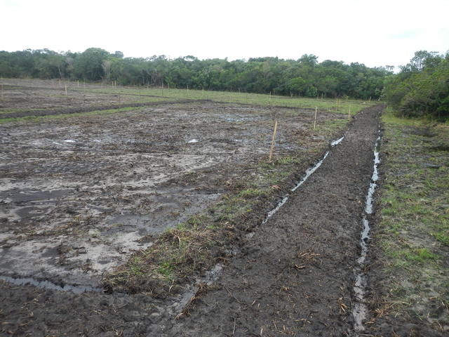 20141015 Fazenda Lavouras área para arroz irrigado 001.jpg