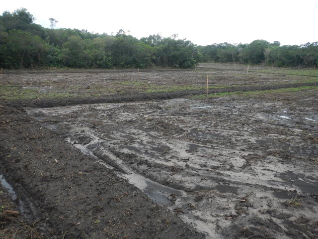 20141015 Fazenda Lavouras área para arroz irrigado 002.jpg