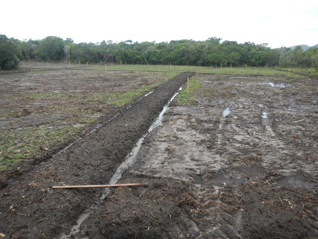 20141015 Fazenda Lavouras área para arroz irrigado 003.jpg