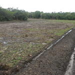 20141015 Fazenda Lavouras área para arroz irrigado 004.jpg