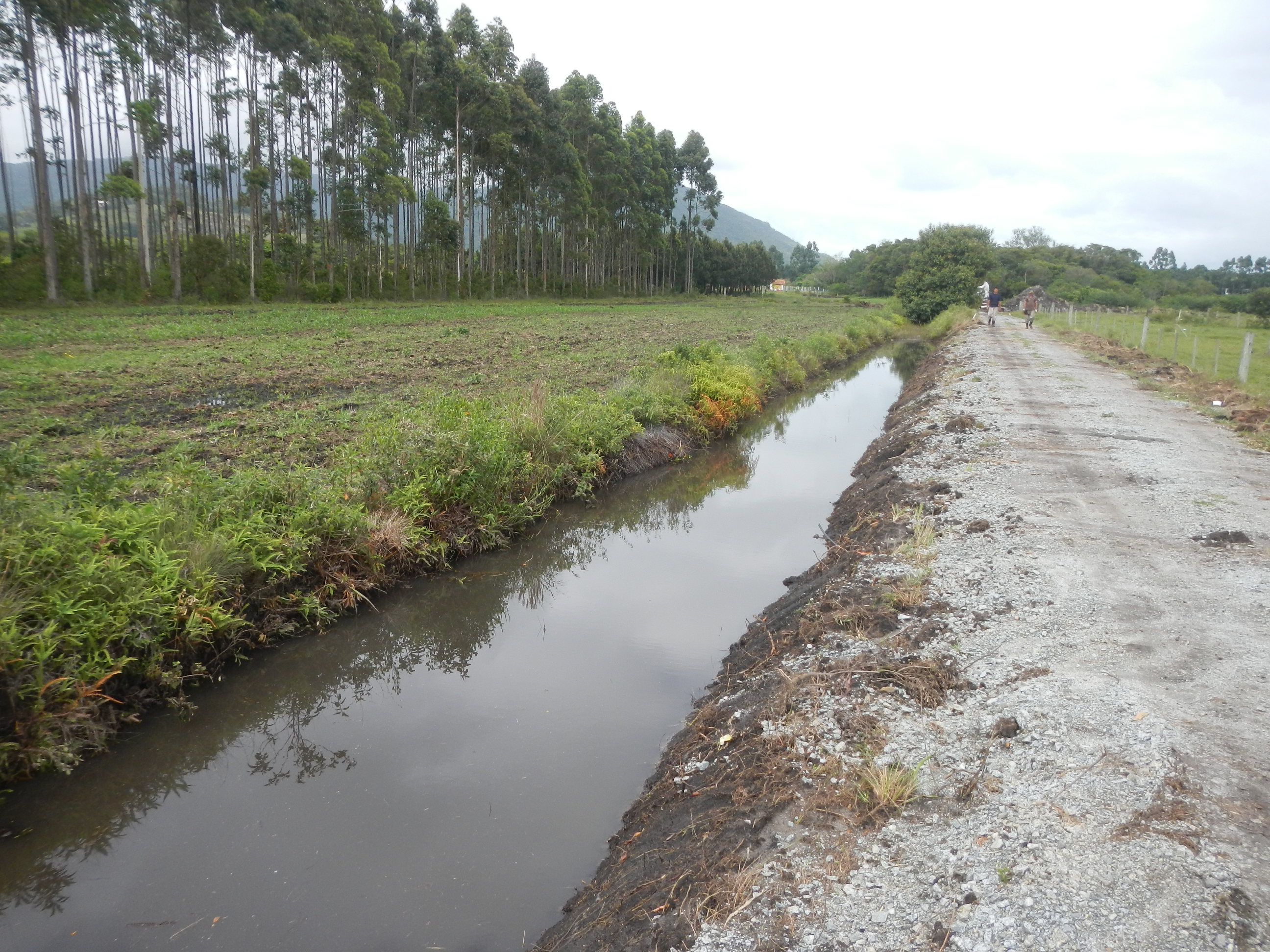 20141015 Fazenda Obras Manejo das Águas valas estrada meio 002.jpg