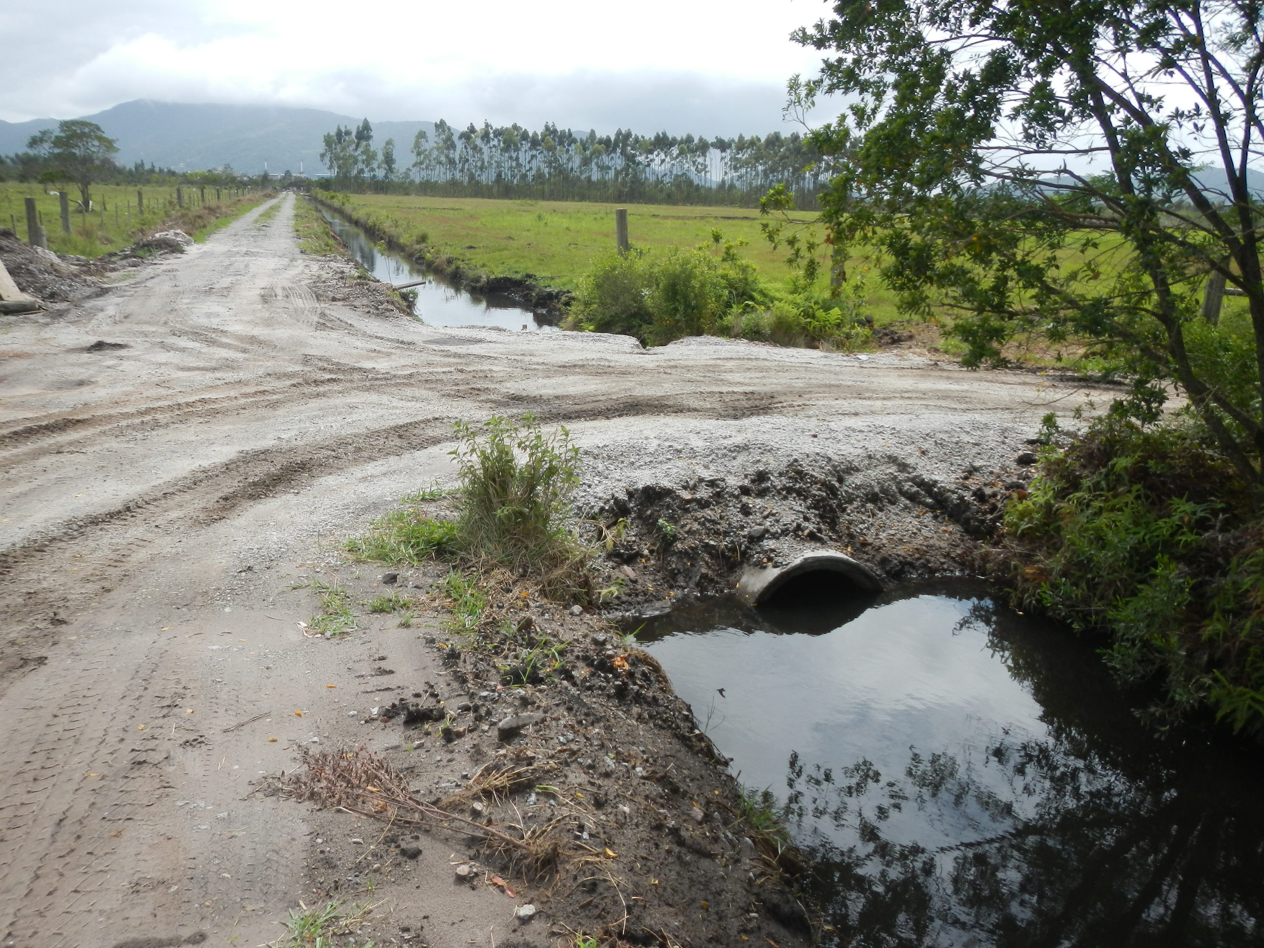 20141015 Fazenda Obras Manejo das Águas valas estrada meio 003.jpg