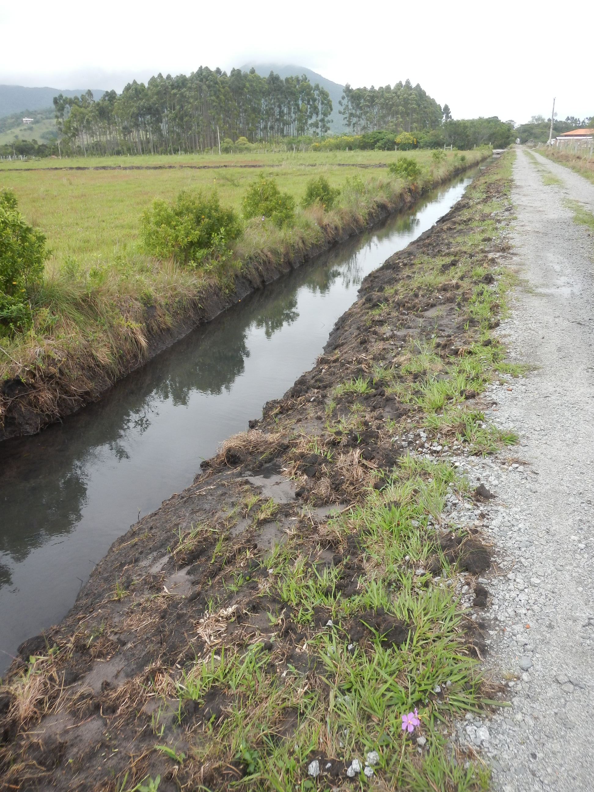 20141015 Fazenda Obras Manejo das Águas valas estrada meio 005.jpg