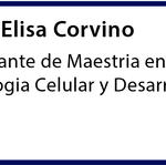 Equipe-es_06 - Elisa Corvino