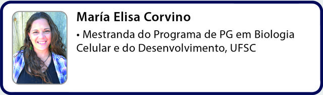 equipe_06 - Elisa Corvino