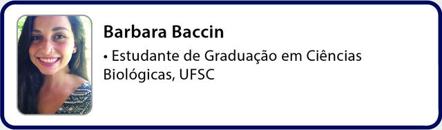 equipe_15 - Barbara Baccin
