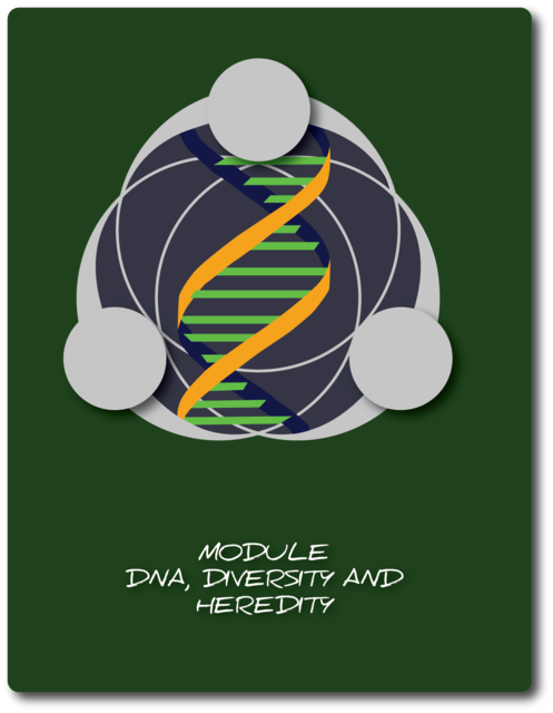 Módulo - DNA, Diversidade e Hereditaridade-es